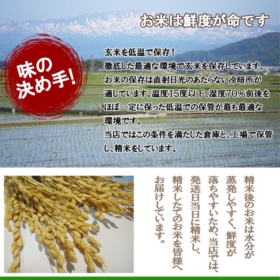 令和5年産 送料無料 山形県産 つや姫 白米 5kg×2 十キロ お米 10キロ おこめ 白米 はくまい 10kg｜yamagatahiroba｜06