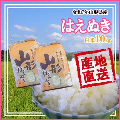 はえぬき 山形県産 令和7年産 白米 5kg×2 送料無料 十キロ お米 おこめ