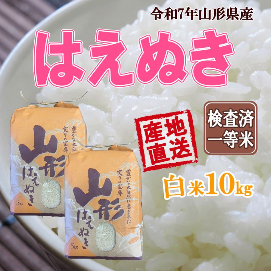 はえぬき 山形県産 令和7年産 白米 5kg×2 送料無料 十キロ お米 おこめ