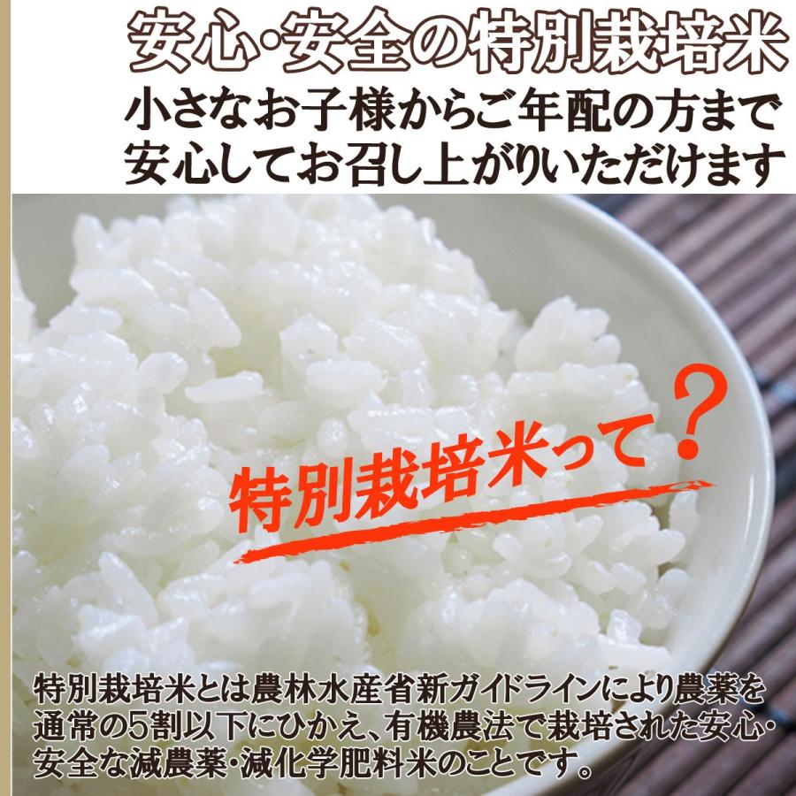 令和4年産米 随時発送中 送料無料 山形県産 特別栽培米 はえぬき 玄米 20キロ げんまい 20kg 二十キロ 安全で確かなものを食卓へ｜yamagatahiroba｜05