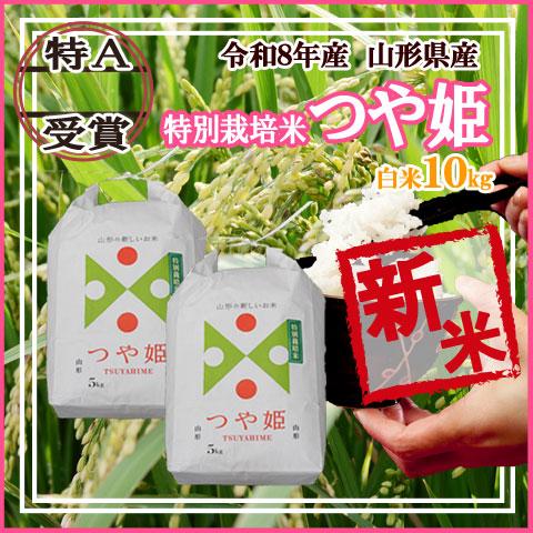 つや姫 山形県産 令和8年産 新米 予約 受付 開始 送料無料 白米 5kg×2