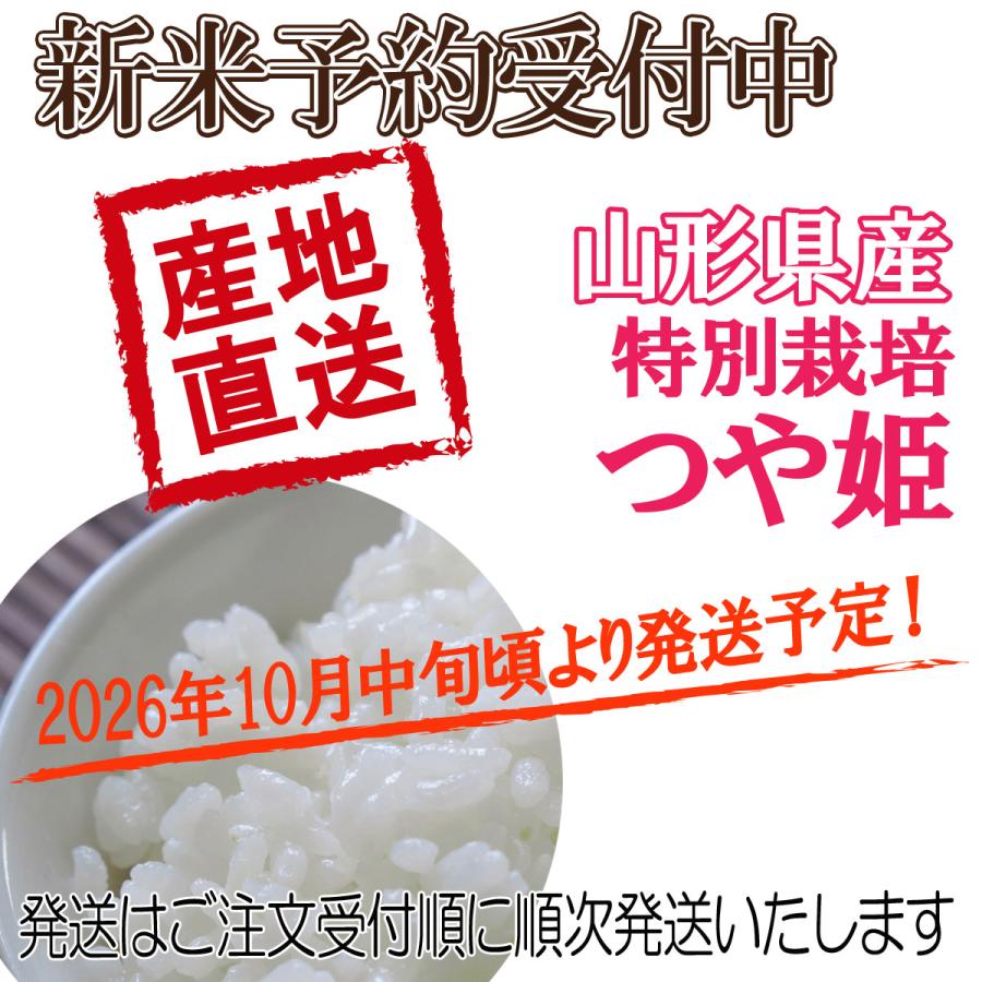 つや姫 山形県産 令和8年産 新米 予約 受付 開始 送料無料 白米 5kg×2