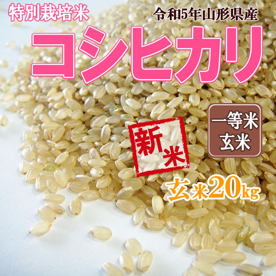 令和5年 新潟産コシヒカリ 特別栽培米 20kg