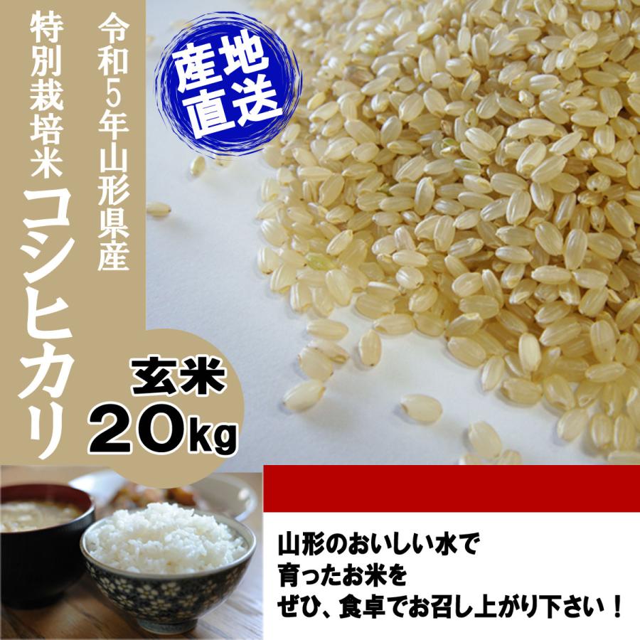 ☆大感謝セール】【☆大感謝セール】令和5年産 新米 予約 受付開始 送料無料 山形県産 特別栽培米 コシヒカリ 玄米 20キロ げんまい 20kg 二十キロ 米、ごはん 玄米 5kg コシヒカリ 新米 埼玉県産 令和5年産 送料無料 米 5キロ