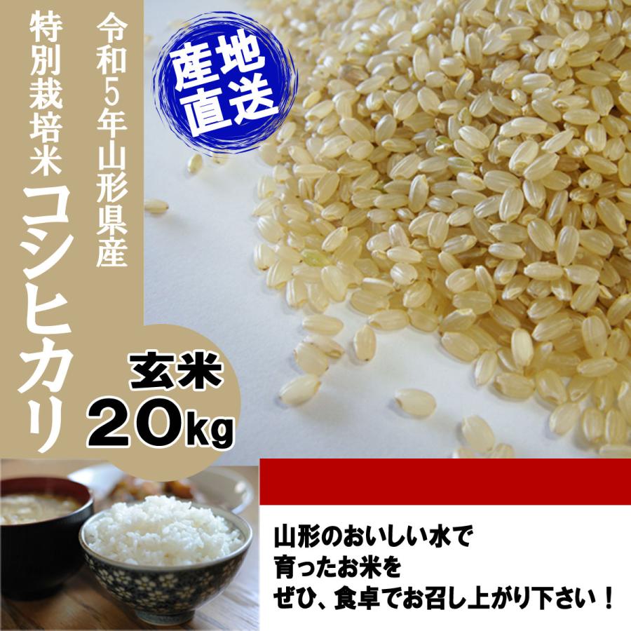 ☆大感謝セール】【☆大感謝セール】令和5年産 新米 予約 受付開始 送料無料 山形県産 特別栽培米 コシヒカリ 玄米 20キロ げんまい 20kg  二十キロ 米、ごはん