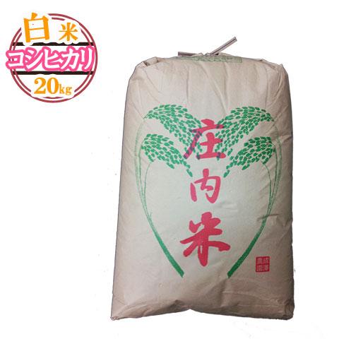 コシヒカリ 令和6年産 新米 予約 受付中 送料無料 山形県産 白米 コシヒカリ 令和6年産 新米 予約 受付中 送料無料 山形県産 白米