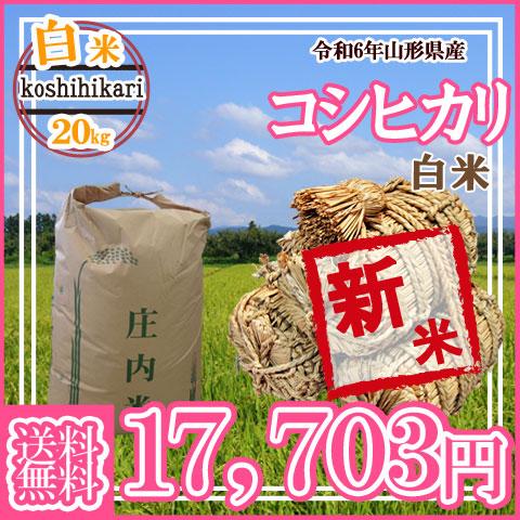 コシヒカリ 令和6年産 新米 予約 受付中 送料無料 山形県産 白米 コシヒカリ 令和6年産 新米 予約 受付中 送料無料 山形県産 白米