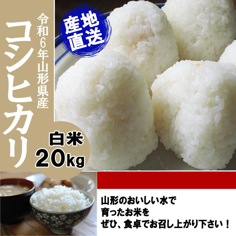コシヒカリ 令和6年産 新米 予約 受付中 送料無料 山形県産 白米 コシヒカリ 令和6年産 新米 予約 受付中 送料無料 山形県産 白米