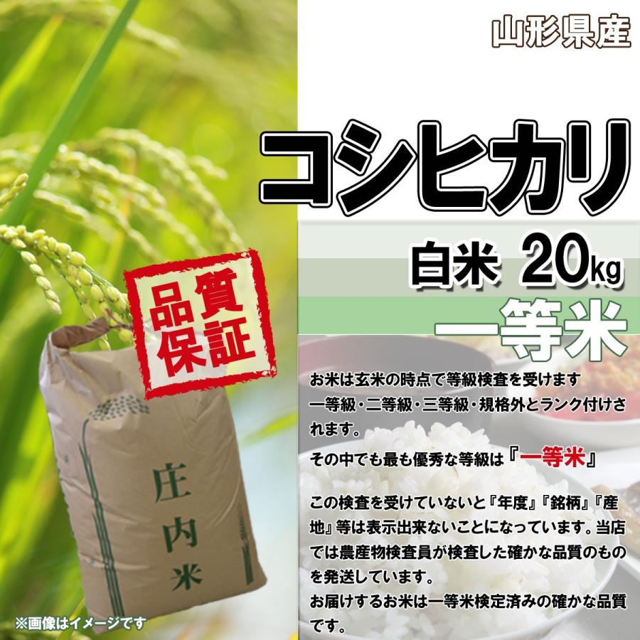 コシヒカリ 令和6年産 新米 予約 受付中 送料無料 山形県産 白米 コシヒカリ 令和6年産 新米 予約 受付中 送料無料 山形県産 白米