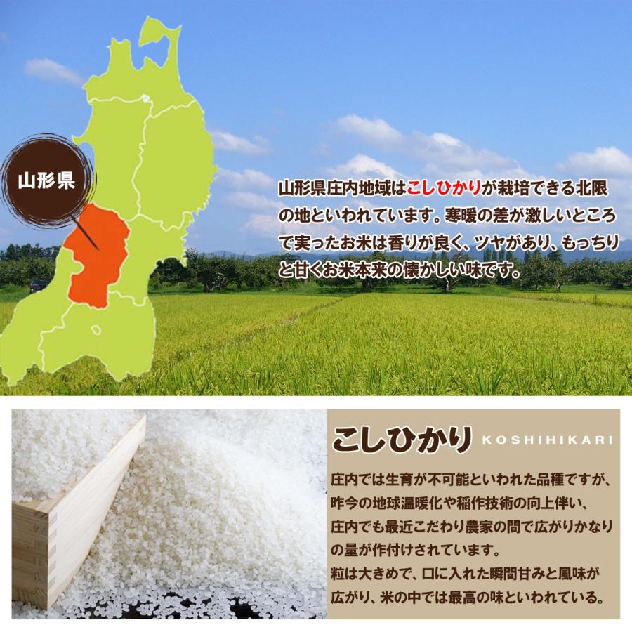 コシヒカリ 令和6年産 新米 予約 受付中 送料無料 山形県産 白米 コシヒカリ 令和6年産 新米 予約 受付中 送料無料 山形県産 白米