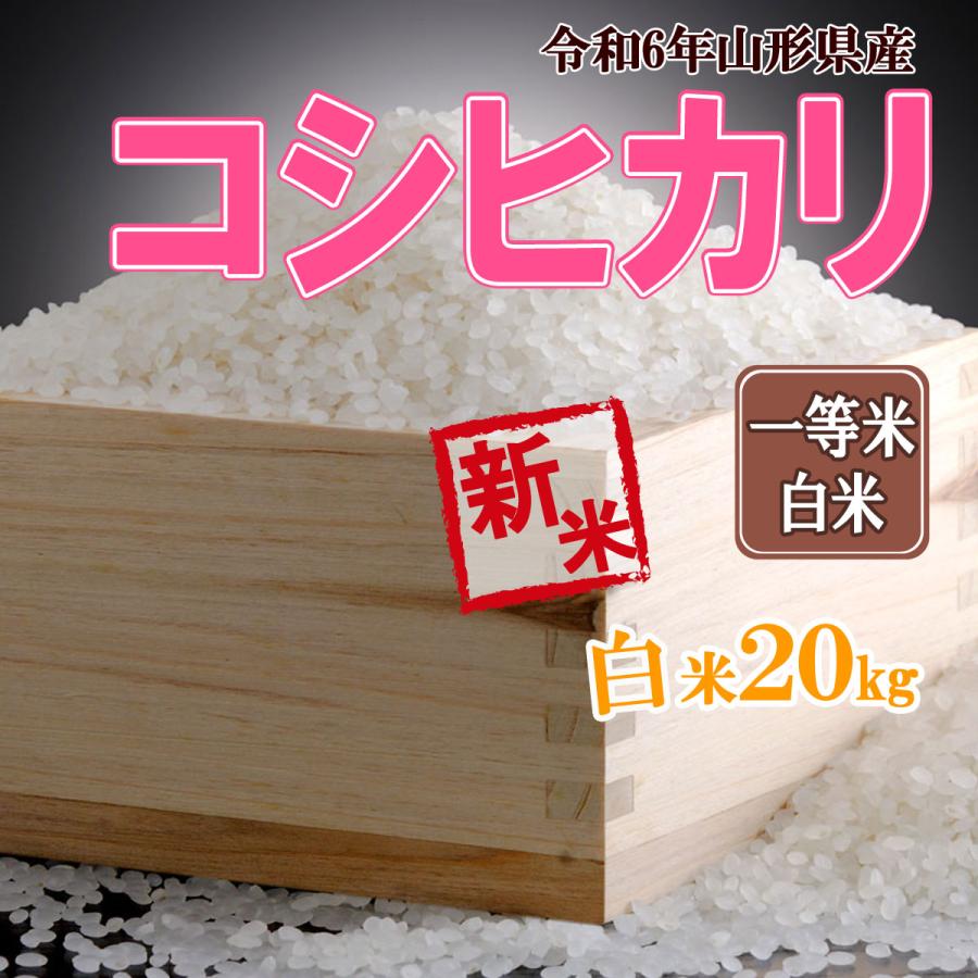 コシヒカリ 令和6年産 新米 予約 受付中 送料無料 山形県産 白米 コシヒカリ 令和6年産 新米 予約 受付中 送料無料 山形県産 白米