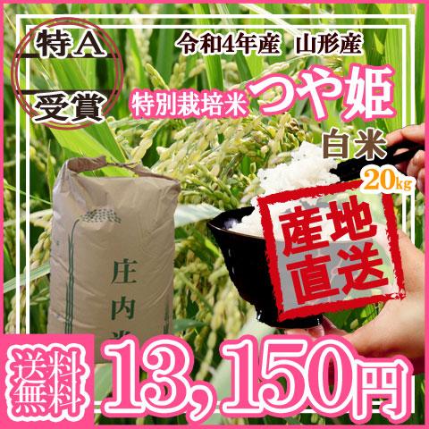 令和4年産米 随時発送中 送料無料 山形県産 特別栽培米 つや姫 白米 20