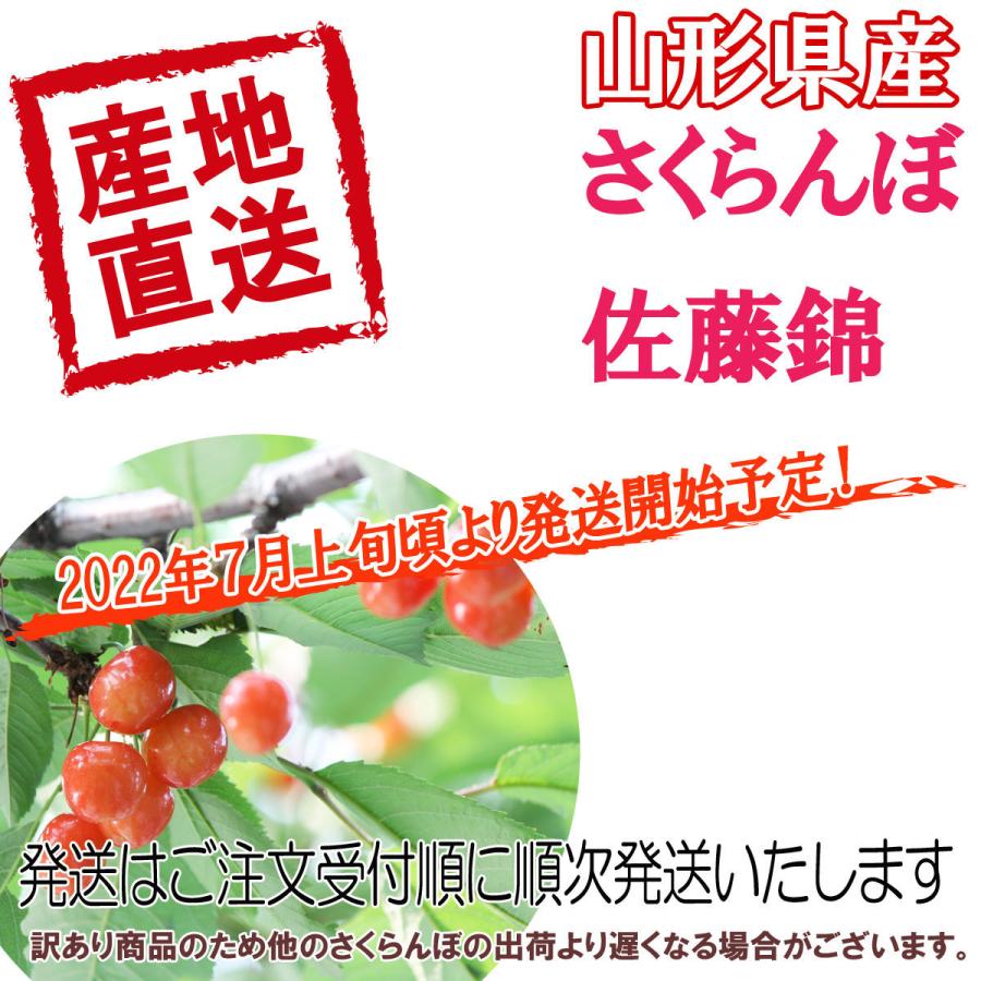 予約 送料無料 山形県産さくらんぼ佐藤錦 た〜っぷり800g 訳あり ご家庭用 佐藤錦 さくらんぼ さとうにしき 訳あり わけあり ご家庭用 かていよう 父の日 :30sakuwake2680:やまがたおいしいもの広場 - 通販 - Yahoo!ショッピング 予約 送料無料 山形県産さくらんぼ佐藤錦 た〜っぷり800g 訳あり ご家庭用 佐藤錦 さくらんぼ さとうにしき 訳あり わけあり ご家庭用 かていよう 父の日 :30sakuwake2680:やまがたおいしいもの広場 - 通販 - Yahoo!ショッピング
