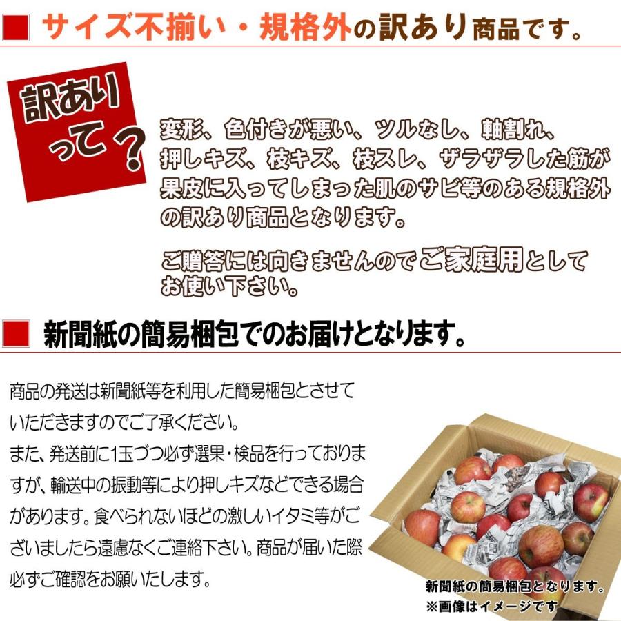 (予約)(送料無料)【たっぷり！てんこ盛り約10ｋｇ】青森県産訳ありサンふじりんご約10ｋｇ簡易梱包茶箱入り  りんご/リンゴ/訳あり/家庭用/わけあり｜yamagatahiroba｜10