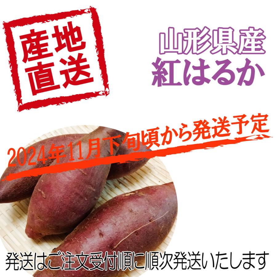予約 送料無料 庄内産 さつまいも 紅はるか 不揃い 10キロ 地元農家と 