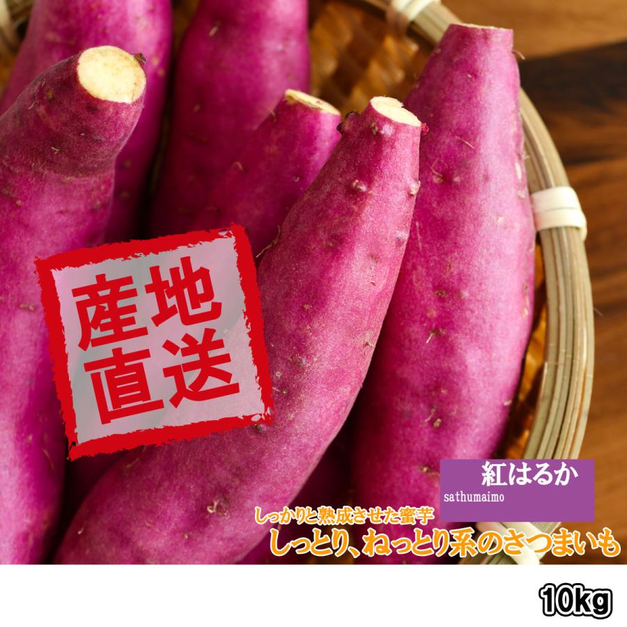 さつまいも 紅はるか 山形県 庄内産 不揃い ご家庭用 10キロ 送料無料