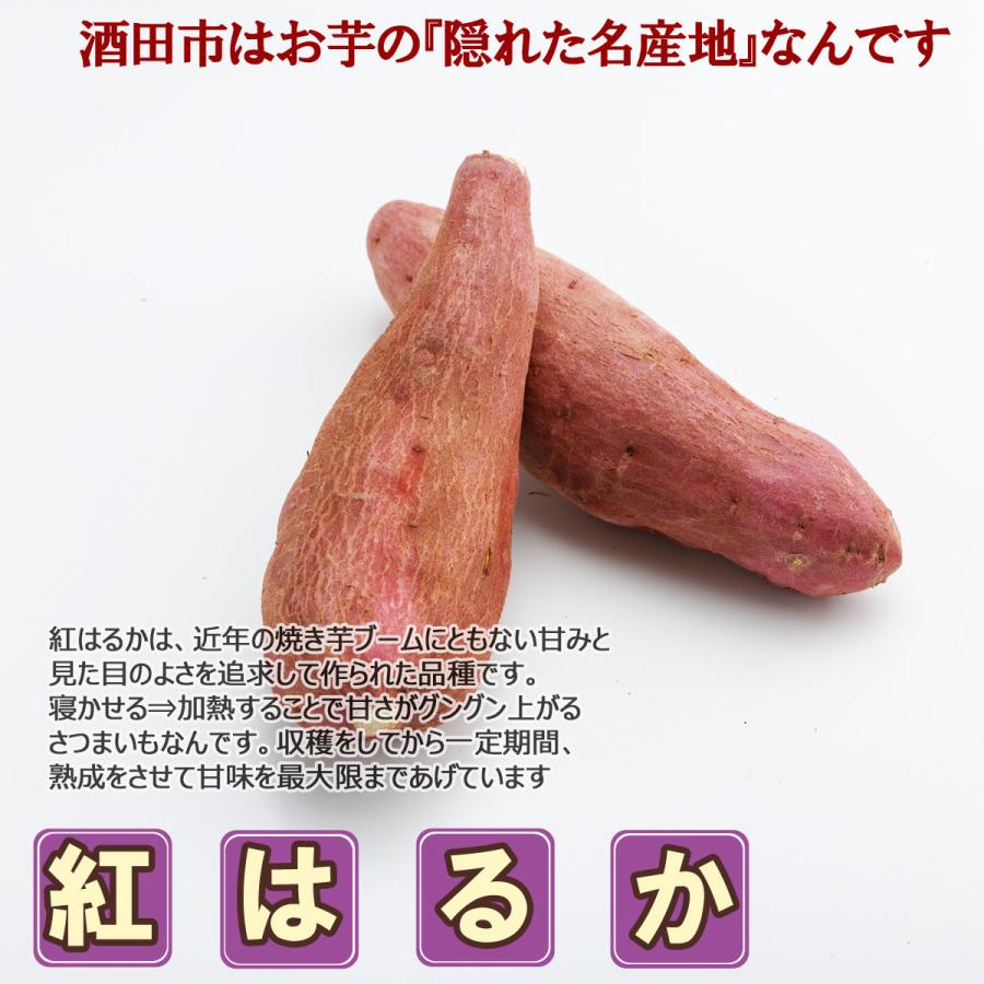 さつまいも 紅はるか 山形県 庄内産 不揃い ご家庭用 5キロ 送料無料