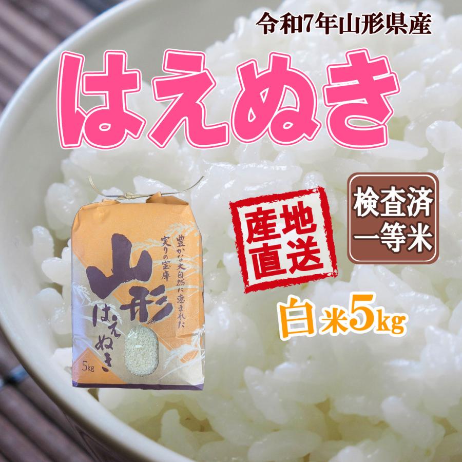 はえぬき 山形県産 令和7年産 送料無料 白米 5kg 五キロ お米 おこめ