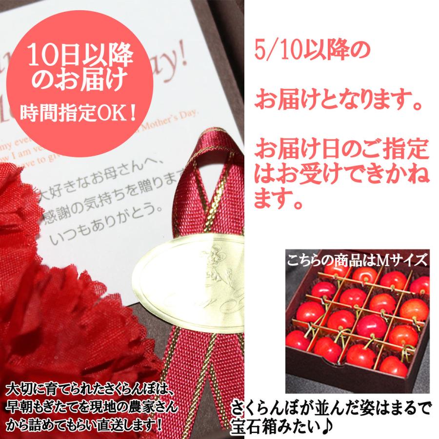 遅れてごめんね 母の日 ギフト さくらんぼ 送料無料 M玉 佐藤錦 化粧箱