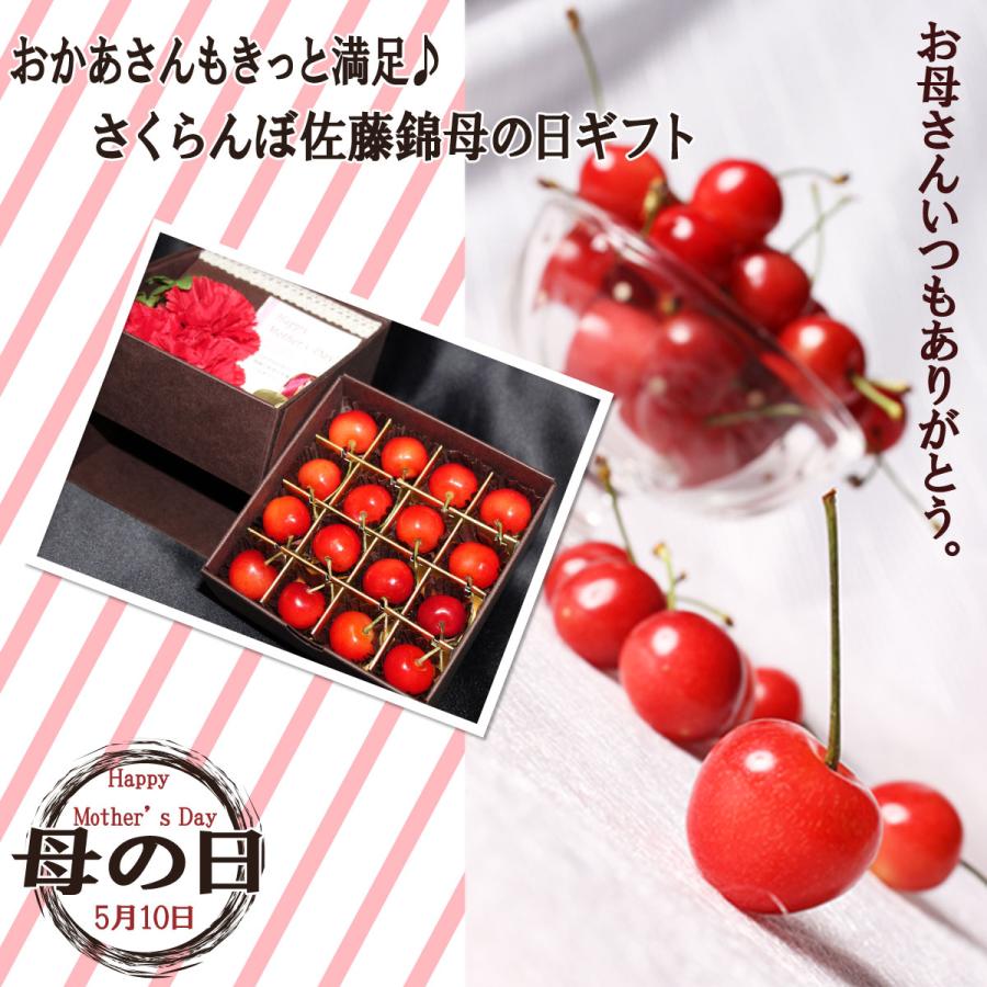 遅れてごめんね 母の日 ギフト さくらんぼ 送料無料 M玉 佐藤錦 化粧箱