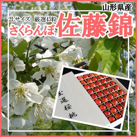 さくらんぼ ギフト 予約 山形県産 贈答用 佐藤錦 送料無料 高級 2L