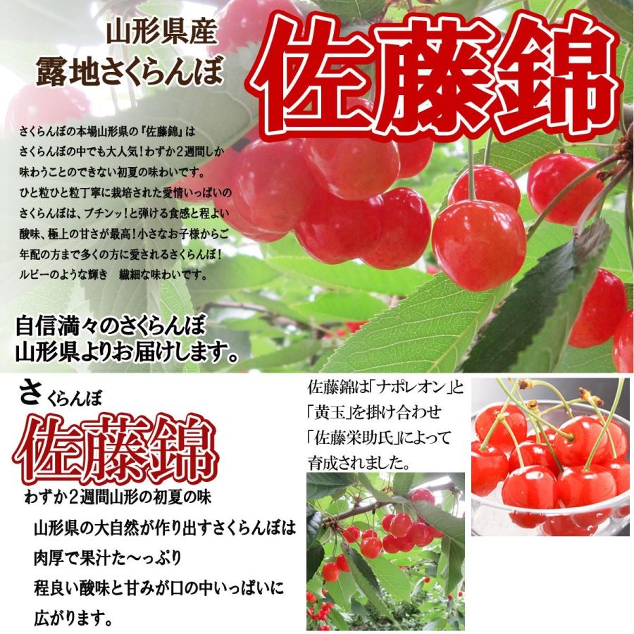 さくらんぼ ギフト 予約 山形県産 贈答用 佐藤錦 送料無料 高級 2L