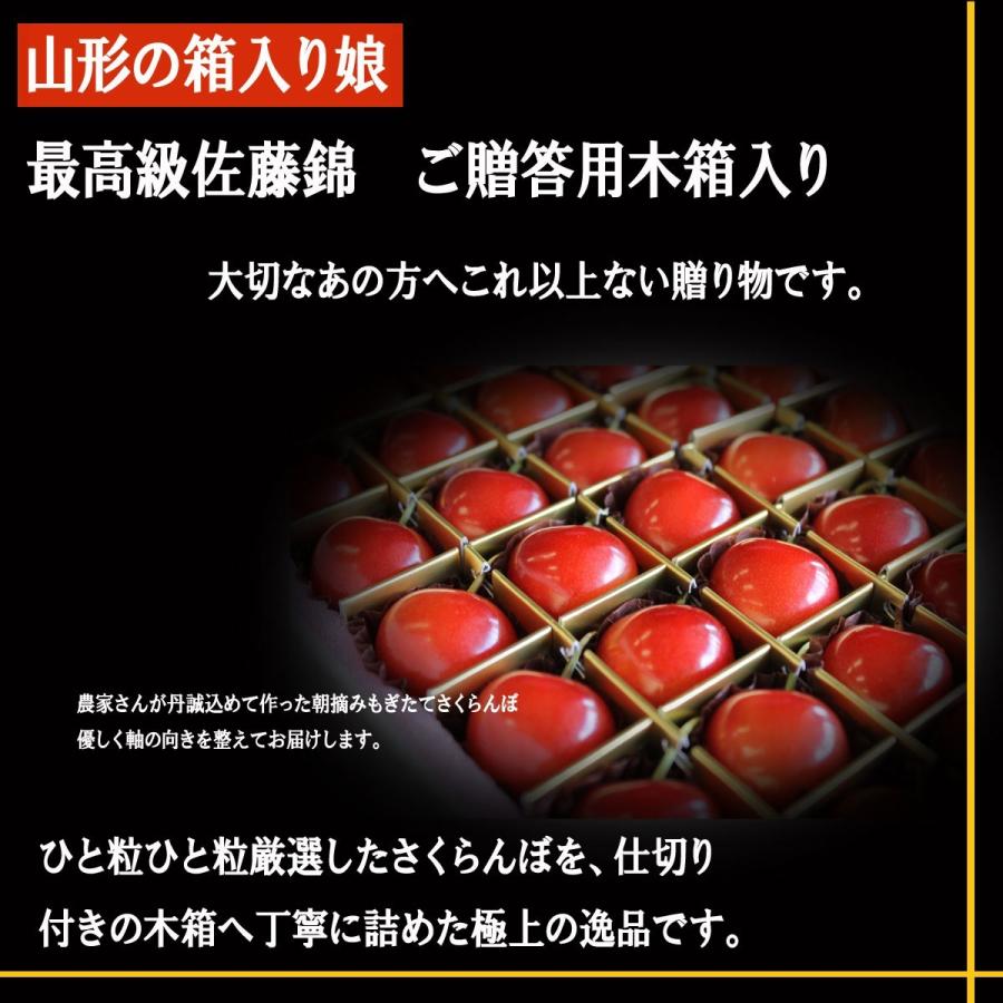 予約 送料無料 山形県産 佐藤錦 さくらんぼ贈答用 高級 佐藤錦  2Lサイズ 45粒 木箱入｜yamagatahiroba｜09