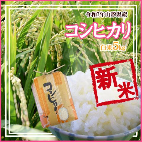 コシヒカリ 令和7年産 山形県産 新米 予約 受付中 白米 5kg 送料 コシヒカリ 令和7年産 山形県産 新米 予約 受付中 白米 5kg 送料