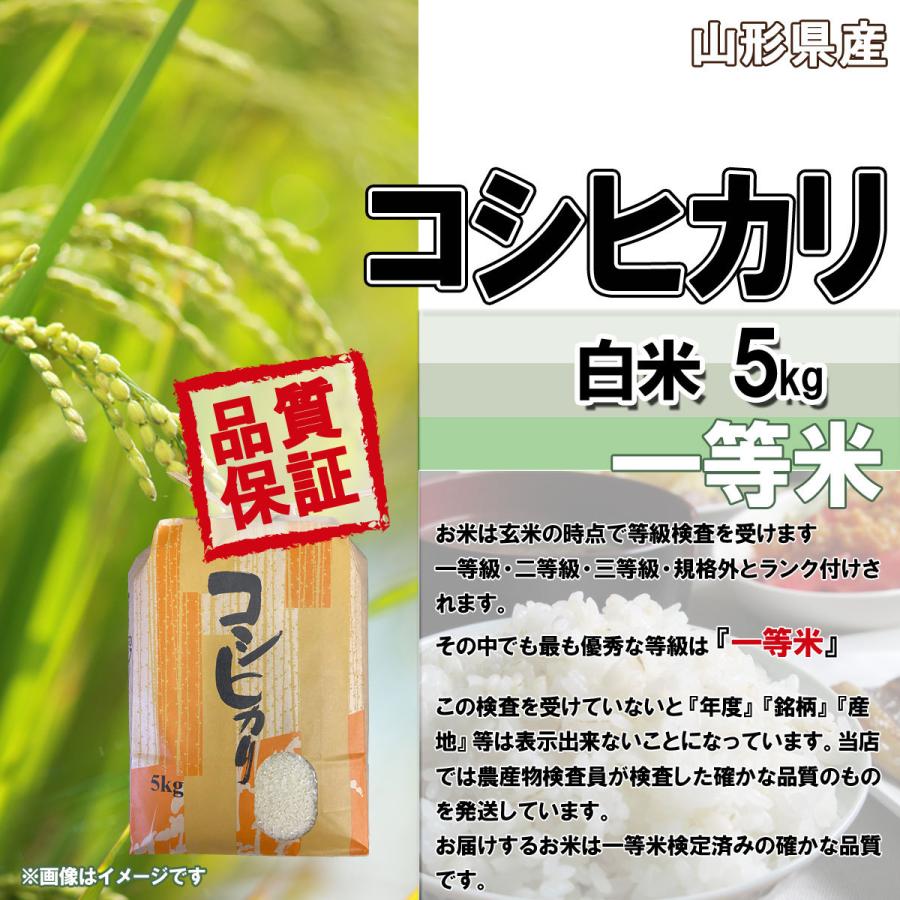 令和5年産 送料無料 山形県産 コシヒカリ 白米 5kg 安全で確かなものを食卓へ 5キロ 五キロ お米 おこめ｜yamagatahiroba｜03