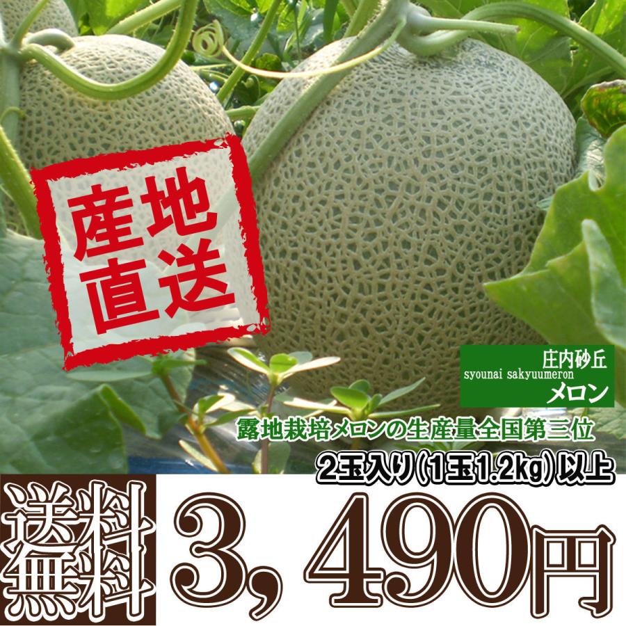 予約 送料無料 受注生産品 山形県 庄内 砂丘メロン大玉2ケ入りセット 各1 2kg以上 赤肉 青肉 マスクメロン