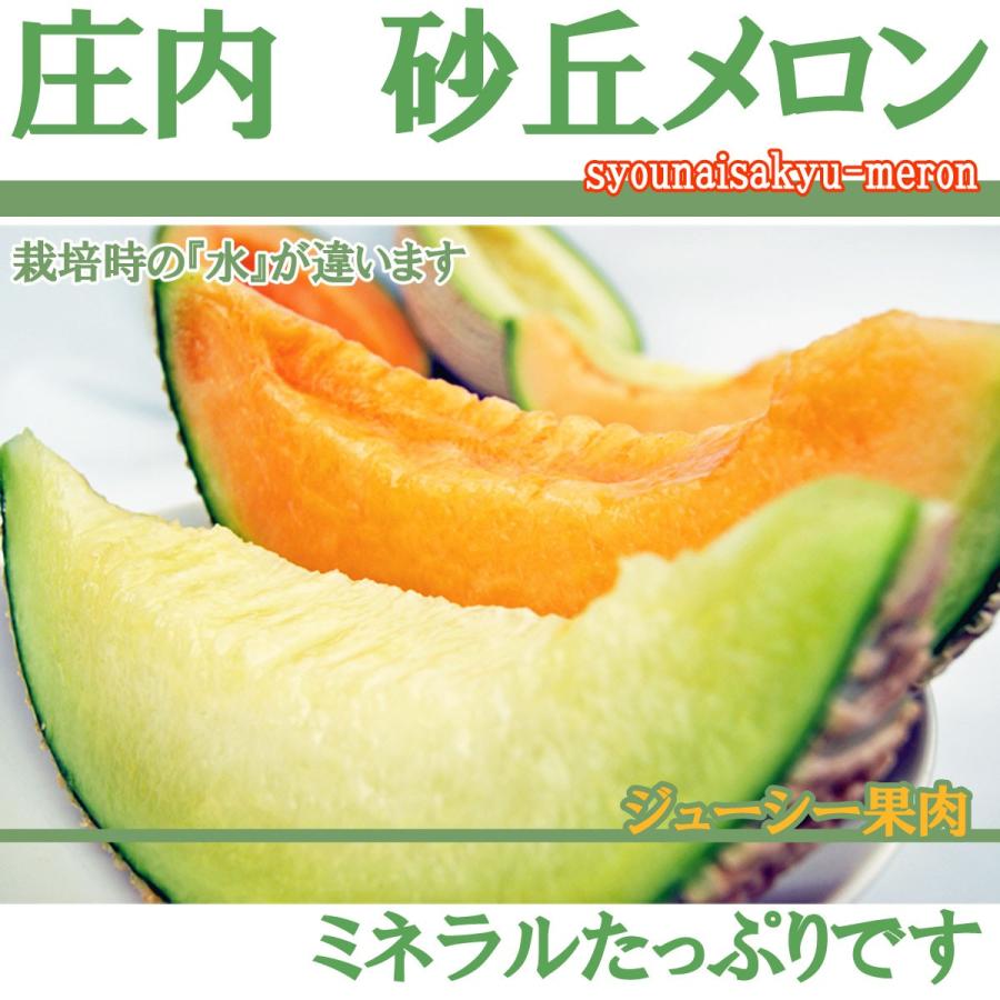 お中元 2023 ギフト フルーツ メロン 健康な土から生まれた渥美産高級マスクメロン 2Lサイズ 《2玉セット》:送料無料:わけありではありません! 通販 健康な土から生まれた渥美産高級マスクメロン 2Lサイズ 《3玉セット》 (ギフト 還暦祝い 結婚祝い 内祝い お返し 誕生祝い 挨拶 退職祝い お礼 定年退職 両親 プレゼント 結婚式 お供え 初盆 早割 愛知県 御中元 お盆 手土産 お中元)