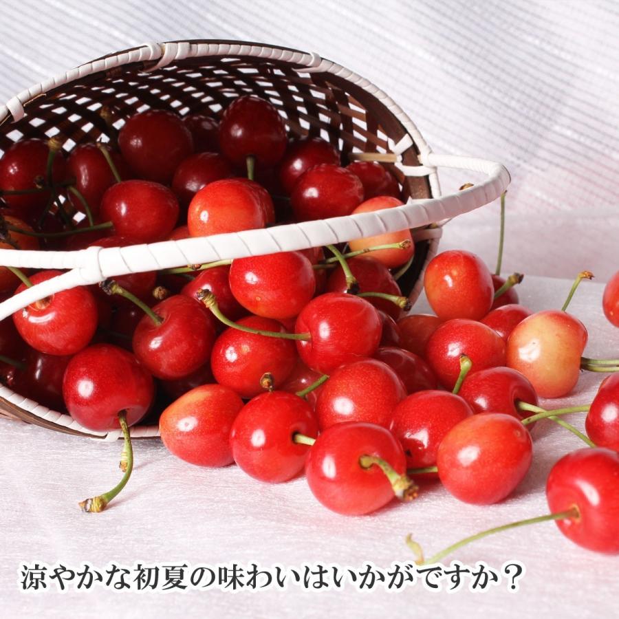 さくらんぼ 山形県産 佐藤錦 た〜っぷり 1kg 訳あり ご家庭用 さとう