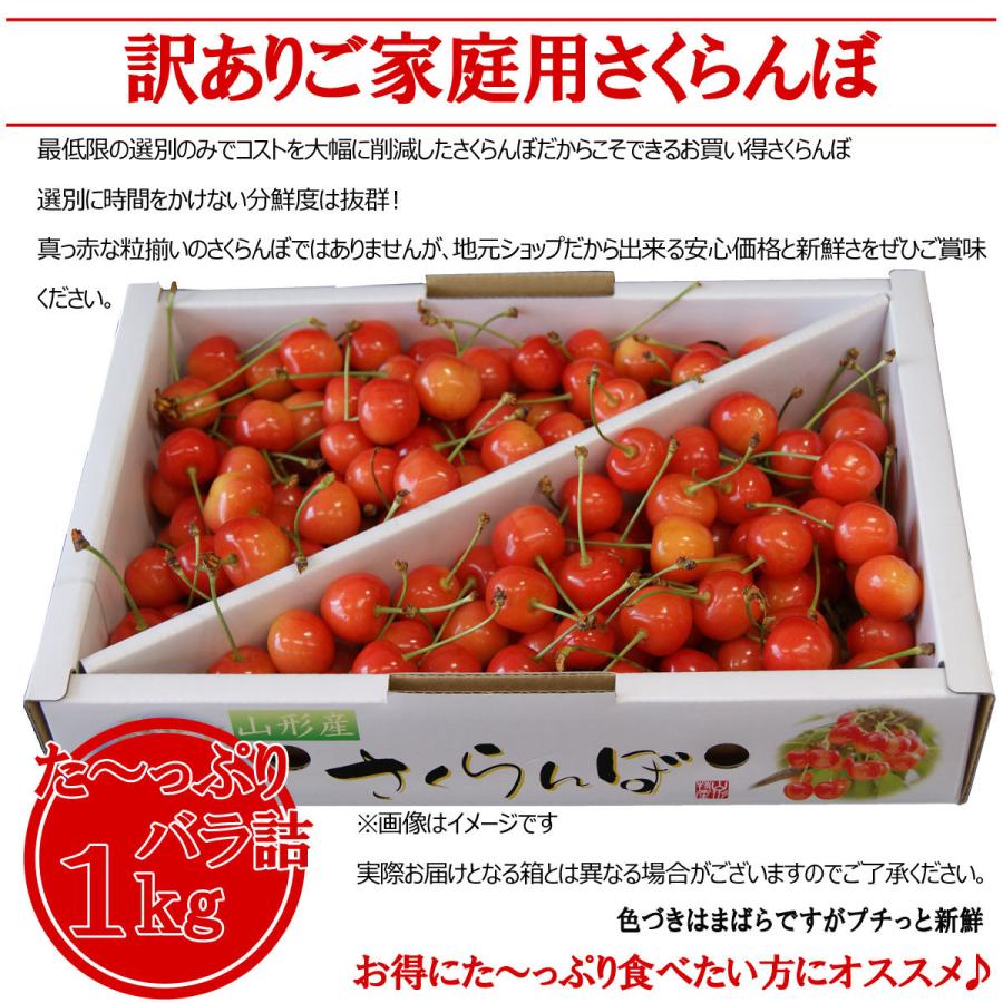 予約 2箱まとめ買いで送料無料 山形県産さくらんぼ佐藤錦 た〜っぷり1kg 訳あり ご家庭用 さとうにしき 訳あり わけあり ご家庭用 かていよう｜yamagatahiroba｜09