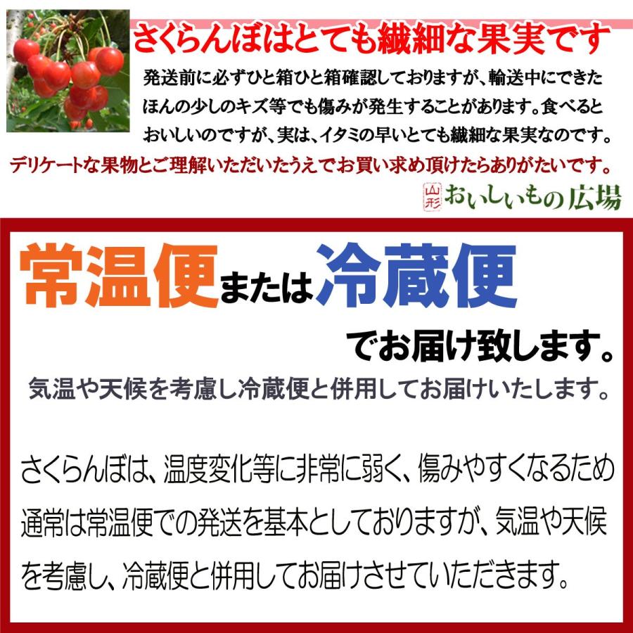 予約 送料無料 ピッカピカの佐藤錦 た〜っぷり１kg 山形県産 さくらんぼ 佐藤錦 秀品 Ｍ・Ｌ混合 バラ詰め｜yamagatahiroba｜09