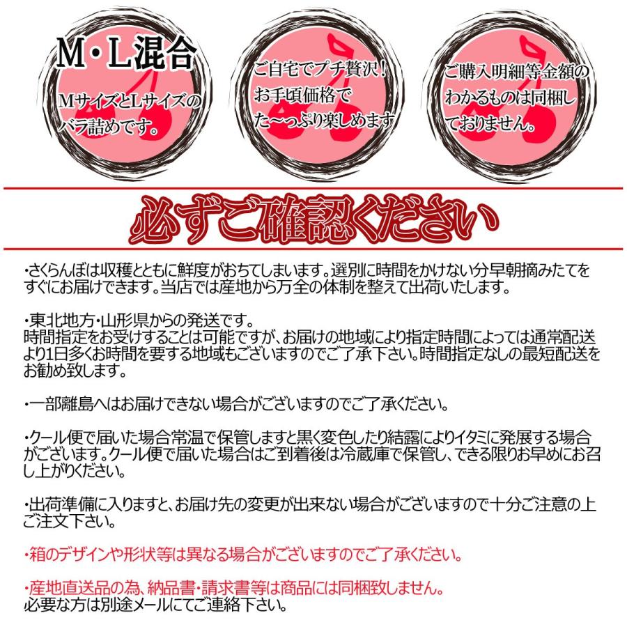 予約 送料無料 ピッカピカの佐藤錦 た〜っぷり700g 山形県産さくらんぼ 佐藤錦秀品Ｍ・Ｌ混合バラ詰め｜yamagatahiroba｜10