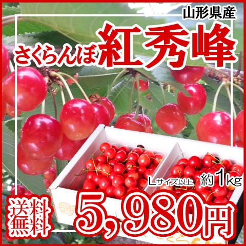 予約 送料無料 ピッカピカの秀品 たっぷり1kg 山形県産 さくらんぼ 紅秀峰 Lサイズ以上｜yamagatahiroba｜02