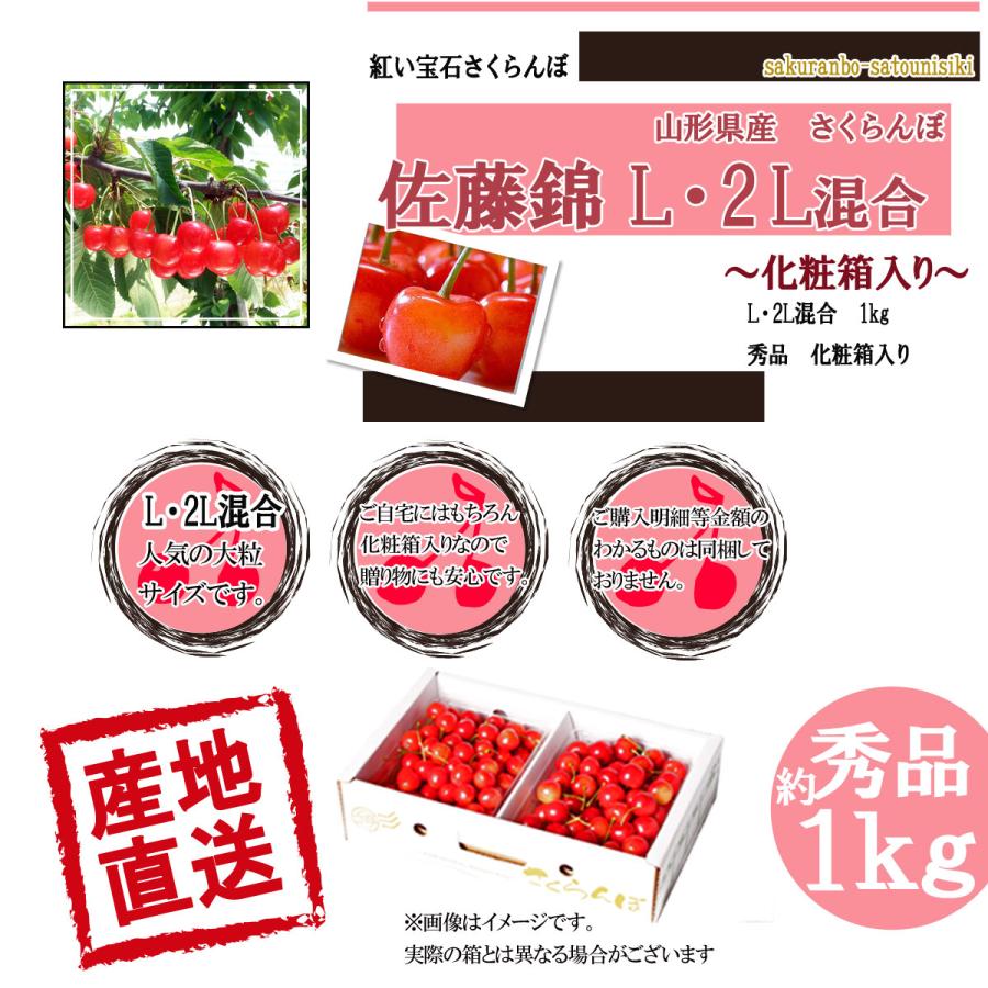 さくらんぼ 予約 山形県産 佐藤錦 送料無料 L・2L 混合 1kg : やまが