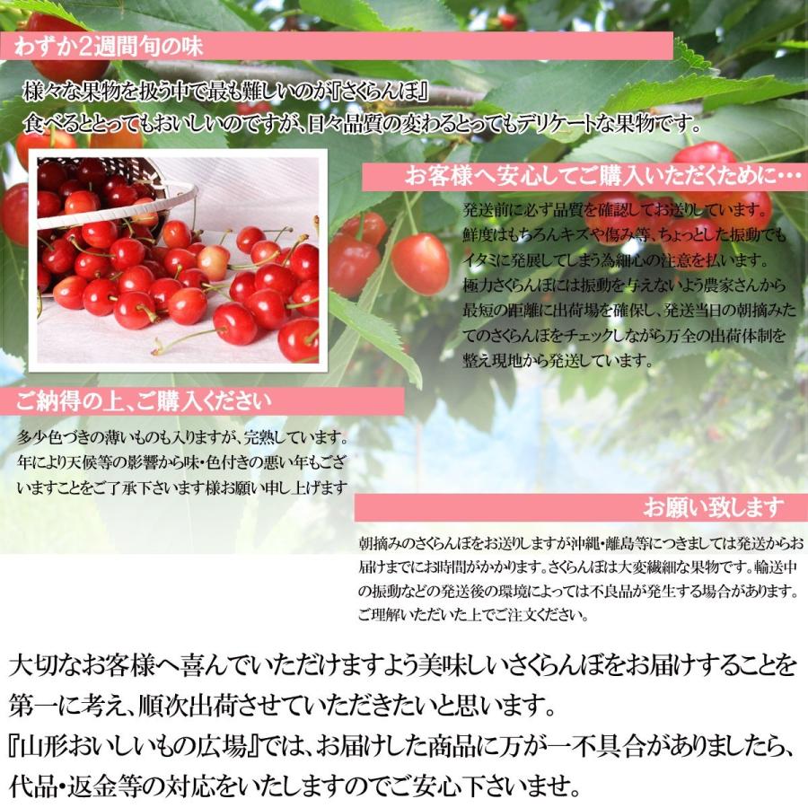 さくらんぼ 予約 山形県産 佐藤錦 送料無料 L・2L 混合 1kg : やまが