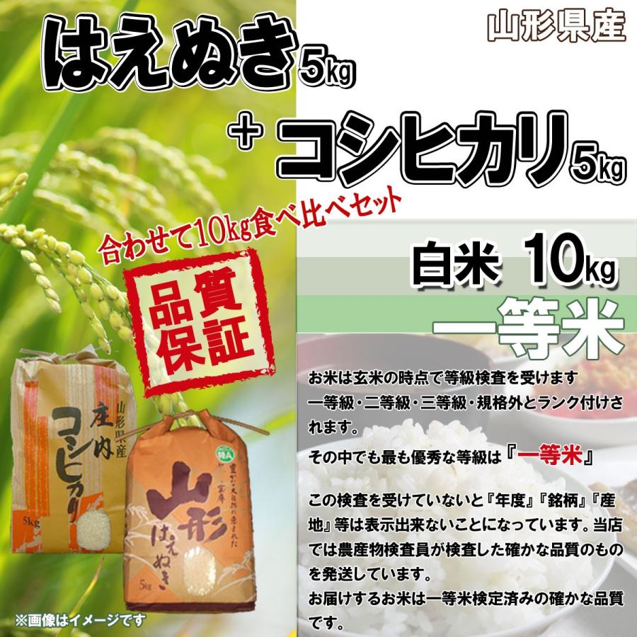 はえぬき 山形県産 5kg こしひかり 5kg 令和7年産 送料無料 計10kg