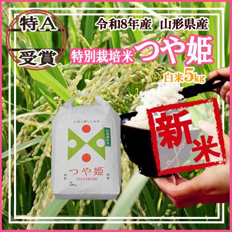 つや姫 山形県産 令和8年産 新米 予約 受付 開始 送料無料 白米 5kg 五