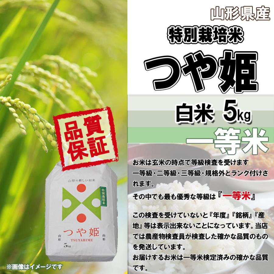 つや姫 山形県産 令和8年産 新米 予約 受付 開始 送料無料 白米 5kg 五