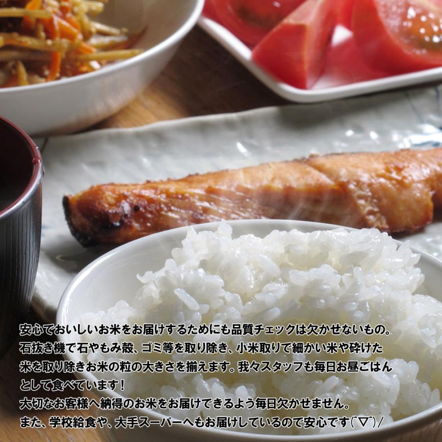 つや姫 山形県産 令和7年産 白米 送料無料 5kg 五キロ お米 5キロ