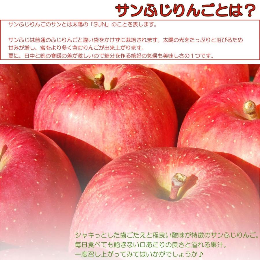 フルーツ 卸直営店（お得な特別割引価格） 【訳あり りんご 箱別8kg 