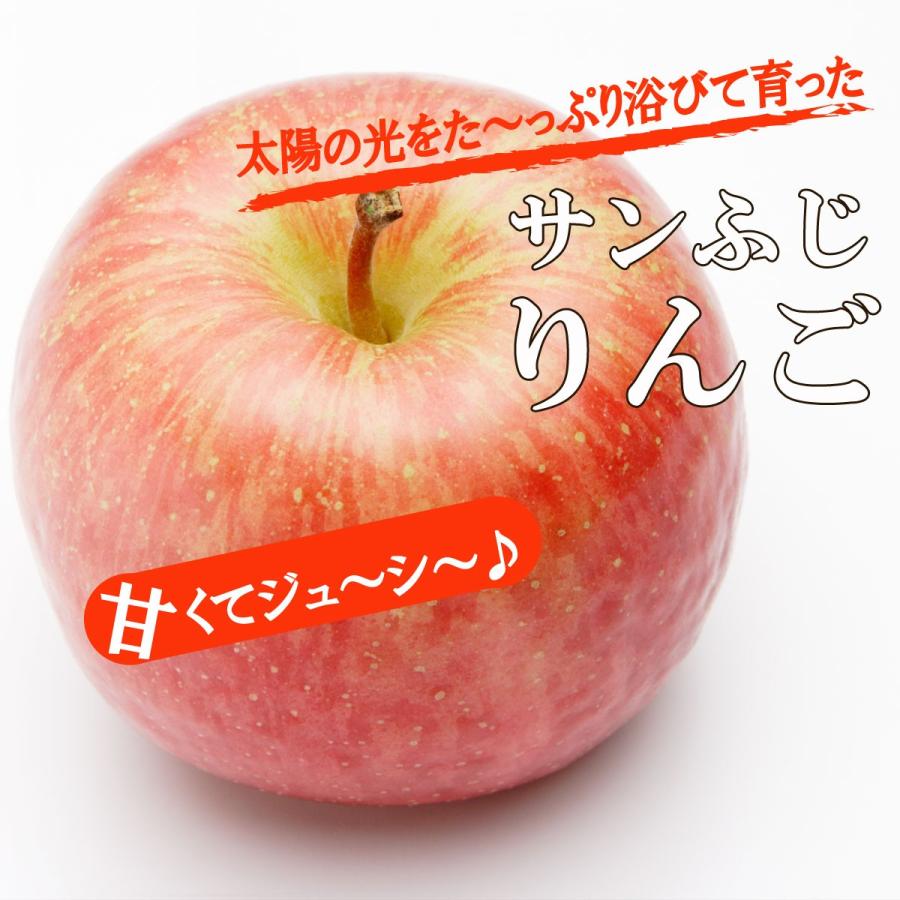 予約 送料無料 たっぷり てんこ盛り 約10kg 山形県産 訳あり サンふじ りんご 約10kg 簡易梱包 りんご/リンゴ/訳あり/家庭用/わけあり｜yamagatahiroba｜06