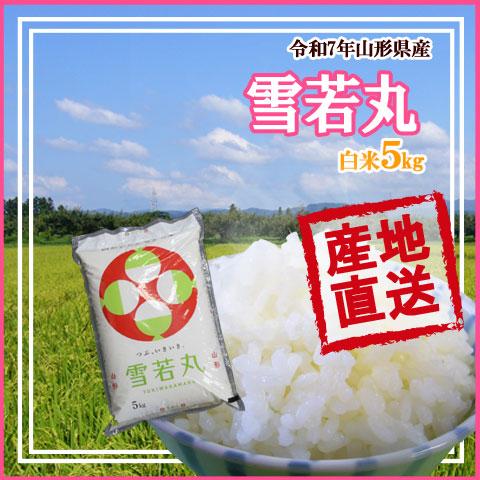 食品 令和5年産！ 山形県産 雪若丸 白米5kgx2袋