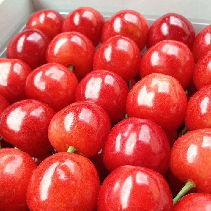 6月下旬〜7月上旬お届け フルーツ 予約 さくらんぼ 紅秀峰 山形県産 特