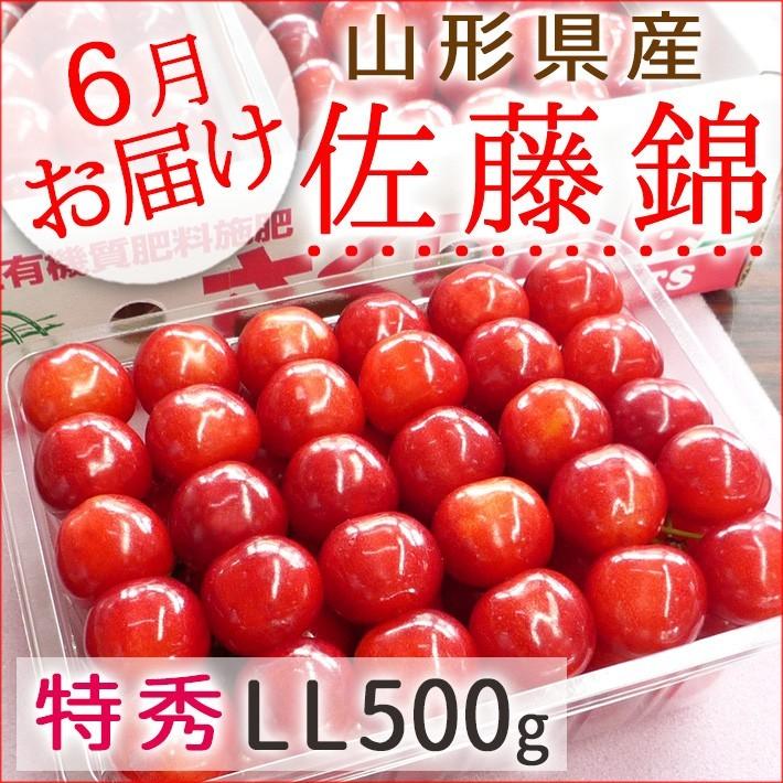6月中旬〜末日お届け予定 フルーツ さくらんぼ 佐藤錦 山形県産 特秀L〜LL詰500g 手詰め(S-6) クール便 送料無料