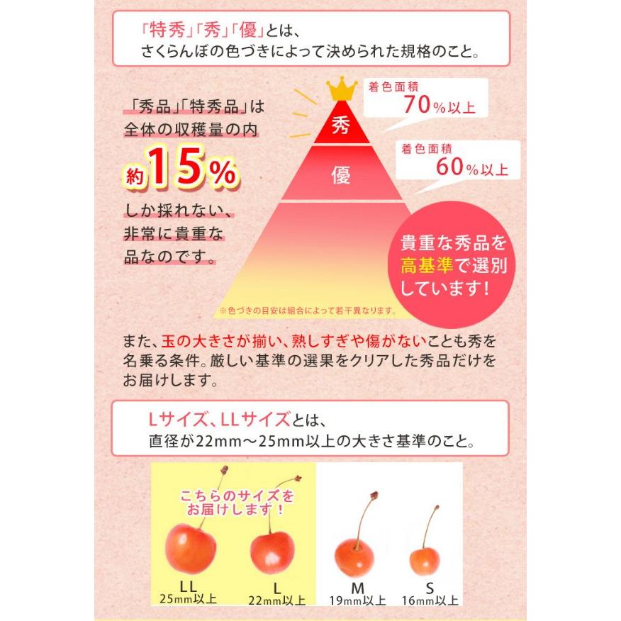 フルーツ 予約 さくらんぼ 7月 紅秀峰 山形県産 遠方送料 500円 Ll 特秀 在庫有 送料無料 他の商品と同梱不可 手詰500g
