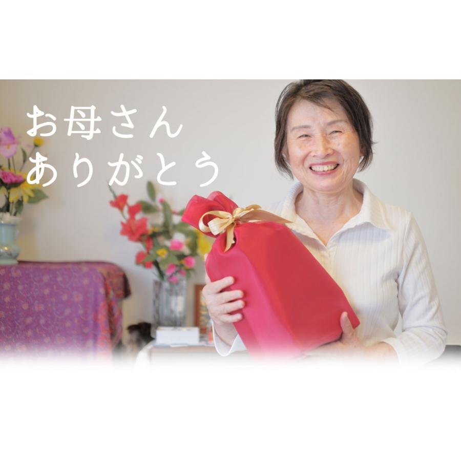2026 プレゼント さくらんぼ 山形県産 ハウスさくらんぼ 佐藤錦・紅