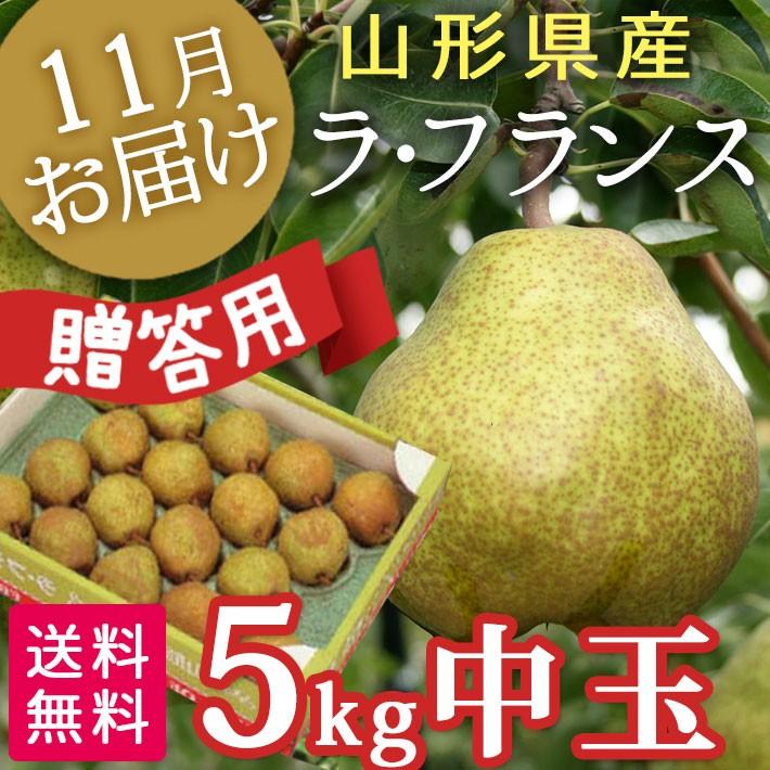 フルーツ ラフランス 山形 5kg 中玉 贈答用 秀2L 送料無料｜yamagatamaru